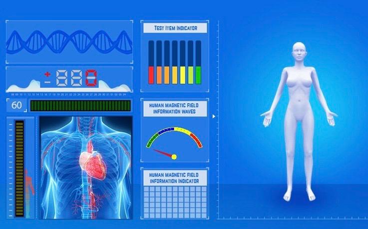 Visualisierung der IQWell-Vitalstoffmessung mit Körpermodell und Analyseskalen